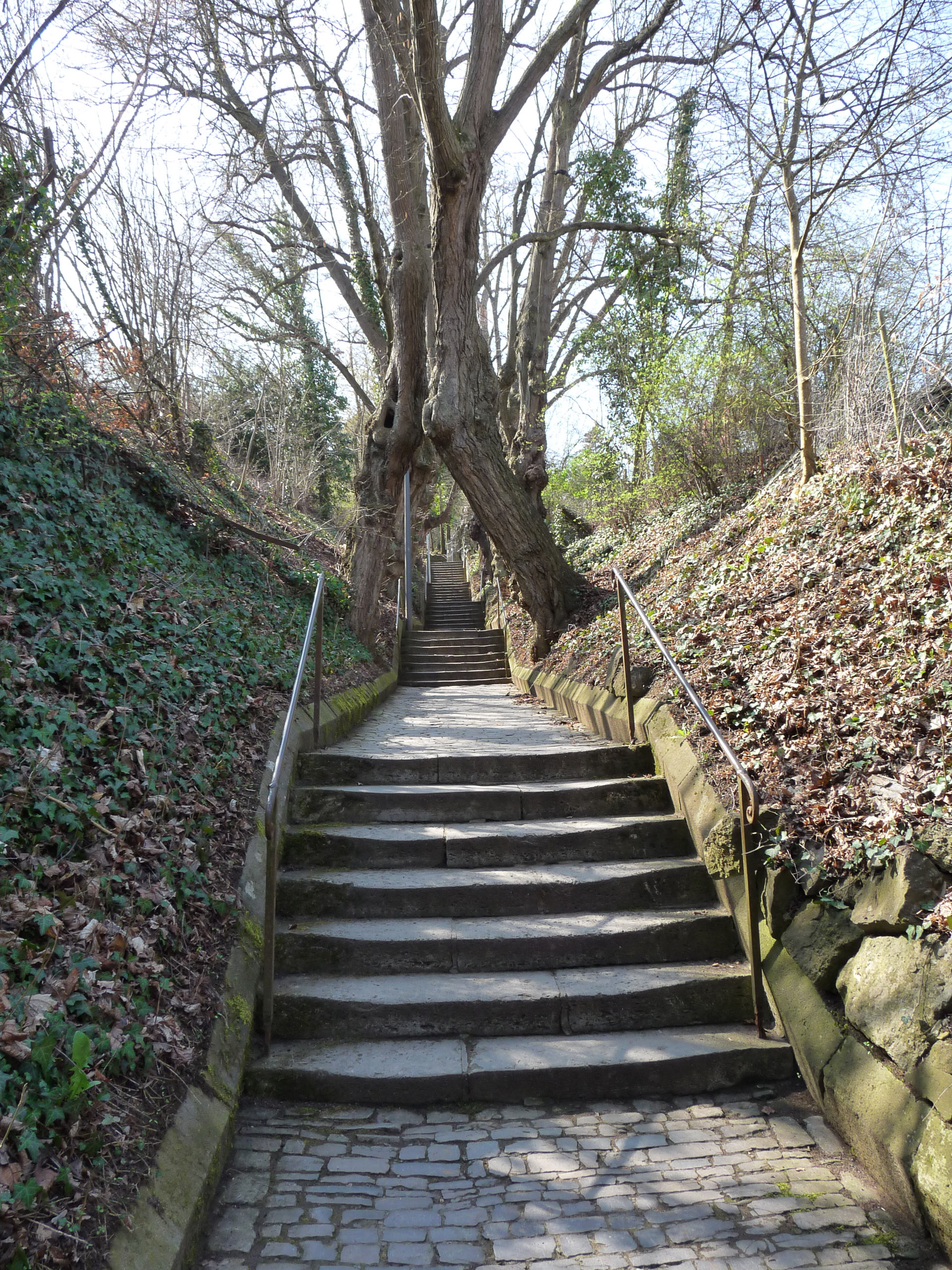 20190330131109 P1120319